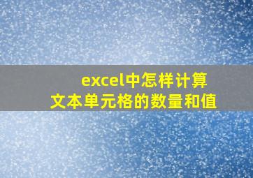 excel中怎样计算文本单元格的数量和值