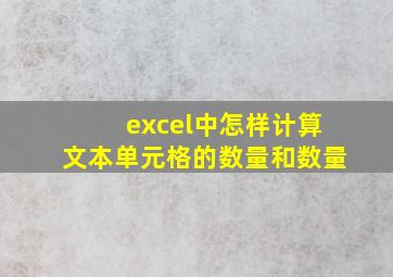 excel中怎样计算文本单元格的数量和数量