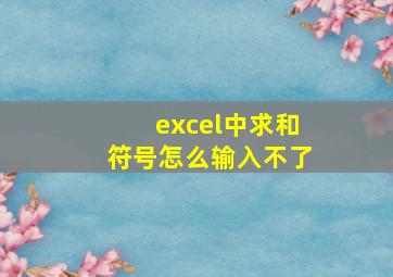 excel中求和符号怎么输入不了