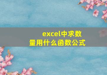 excel中求数量用什么函数公式