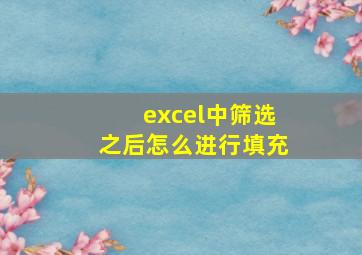 excel中筛选之后怎么进行填充