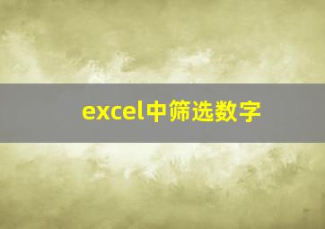 excel中筛选数字