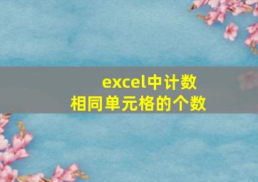 excel中计数相同单元格的个数