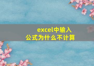 excel中输入公式为什么不计算