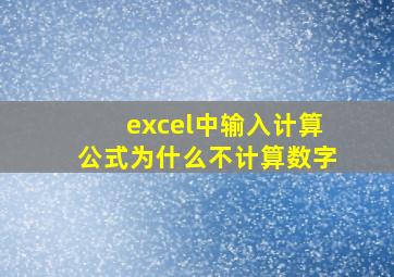 excel中输入计算公式为什么不计算数字