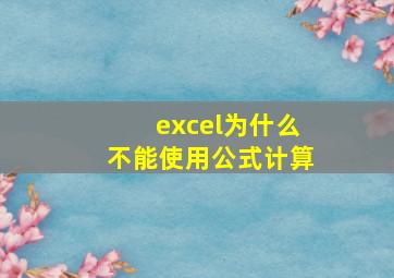 excel为什么不能使用公式计算