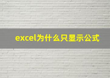 excel为什么只显示公式