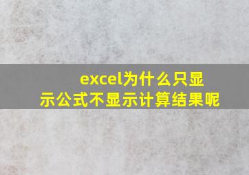 excel为什么只显示公式不显示计算结果呢