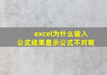 excel为什么输入公式结果显示公式不对呢