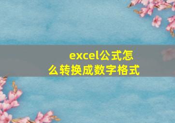 excel公式怎么转换成数字格式