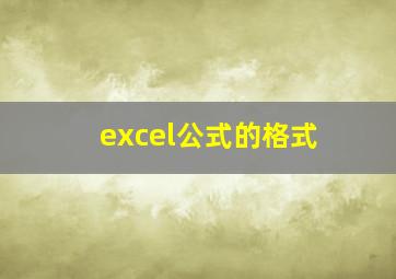 excel公式的格式