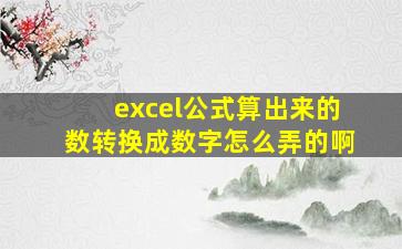 excel公式算出来的数转换成数字怎么弄的啊