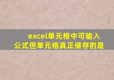 excel单元格中可输入公式但单元格真正储存的是