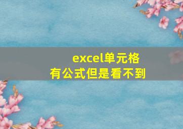 excel单元格有公式但是看不到