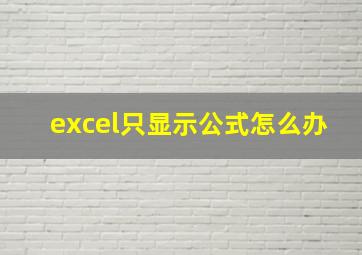 excel只显示公式怎么办