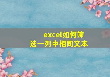 excel如何筛选一列中相同文本