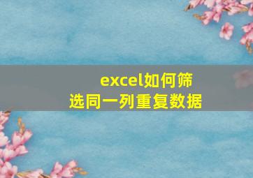 excel如何筛选同一列重复数据