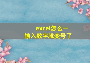 excel怎么一输入数字就变号了