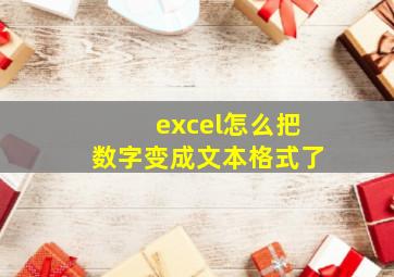 excel怎么把数字变成文本格式了