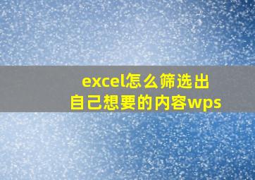 excel怎么筛选出自己想要的内容wps