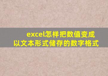 excel怎样把数值变成以文本形式储存的数字格式