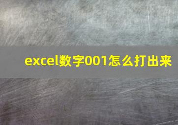 excel数字001怎么打出来