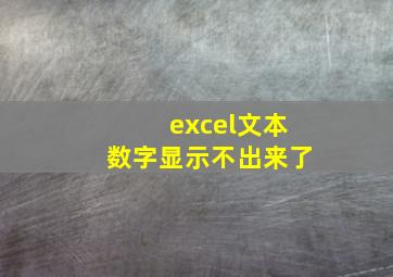 excel文本数字显示不出来了