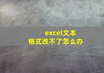 excel文本格式改不了怎么办