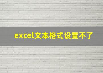 excel文本格式设置不了