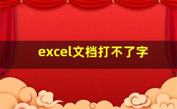 excel文档打不了字