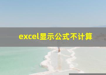 excel显示公式不计算