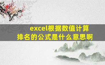 excel根据数值计算排名的公式是什么意思啊