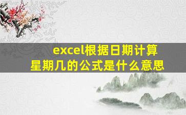 excel根据日期计算星期几的公式是什么意思