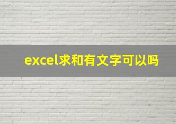 excel求和有文字可以吗