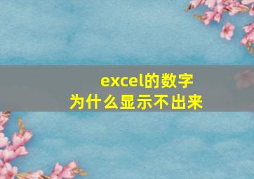 excel的数字为什么显示不出来