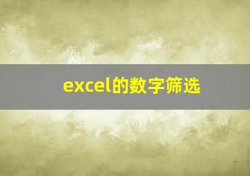 excel的数字筛选