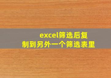 excel筛选后复制到另外一个筛选表里