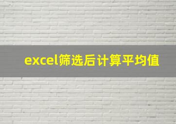 excel筛选后计算平均值