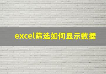 excel筛选如何显示数据