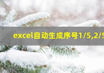 excel自动生成序号1/5,2/5