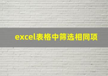 excel表格中筛选相同项