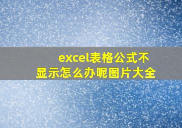 excel表格公式不显示怎么办呢图片大全