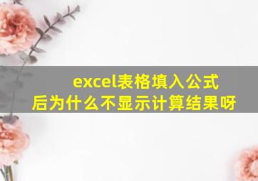 excel表格填入公式后为什么不显示计算结果呀