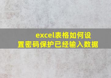 excel表格如何设置密码保护已经输入数据