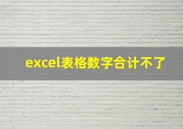 excel表格数字合计不了