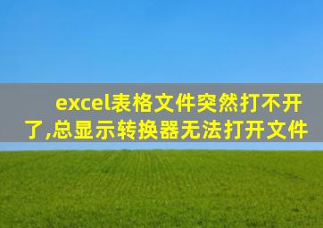 excel表格文件突然打不开了,总显示转换器无法打开文件