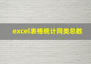 excel表格统计同类总数