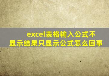 excel表格输入公式不显示结果只显示公式怎么回事