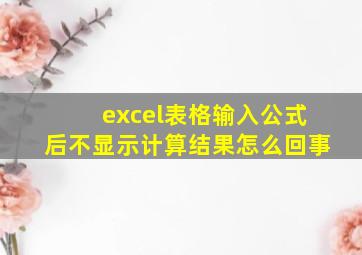 excel表格输入公式后不显示计算结果怎么回事