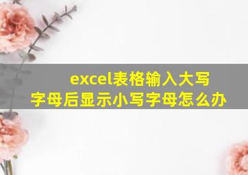 excel表格输入大写字母后显示小写字母怎么办